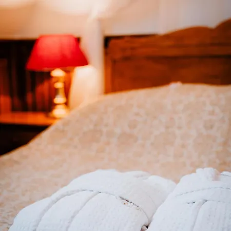 Kastelyhotel Sasvar מלון 4*