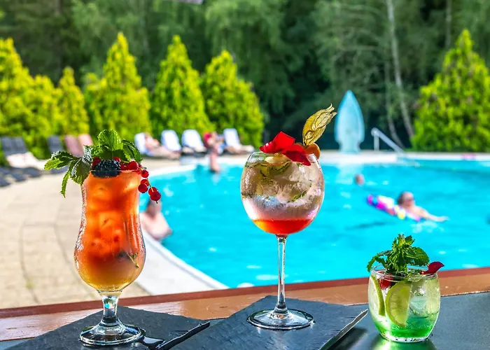 Kastelyhotel Sasvar 4*